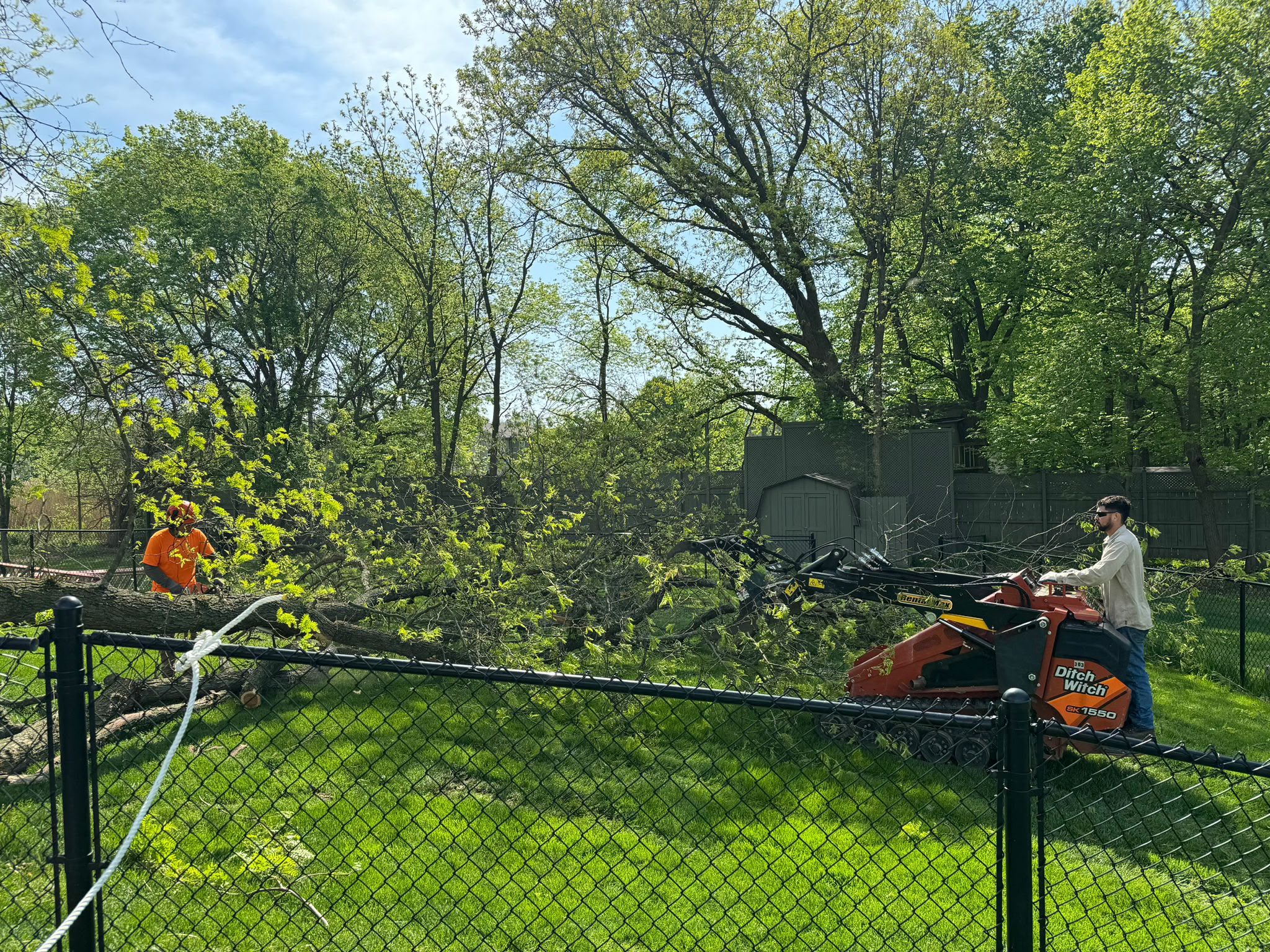 Professional tree removal crew working on a large tree in a suburban Joliet IL neighborhood