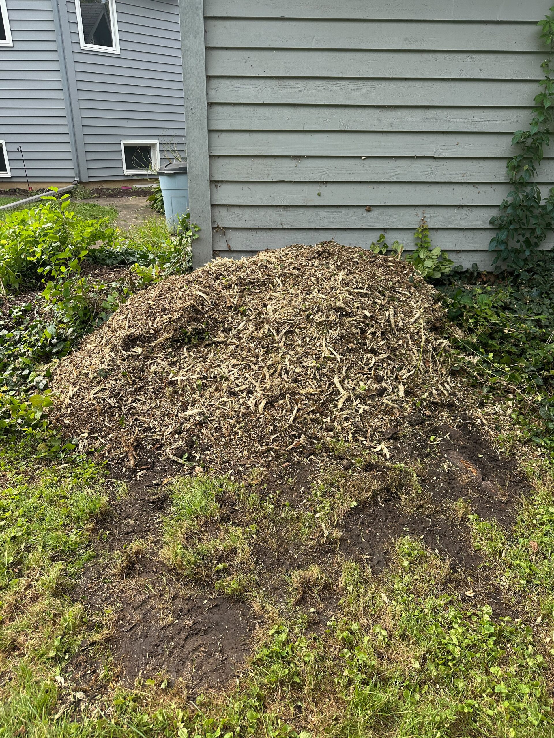 After stump grinding — clean and level lawn in Joliet IL